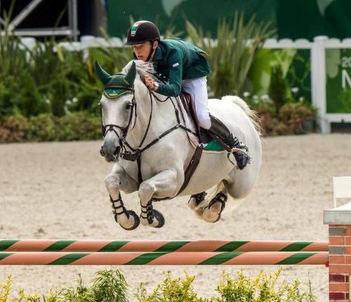 Read more about the article Bertram Allen takes first win of World Equestrian Games