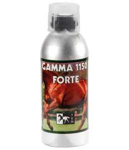Gamma 1150 Forte