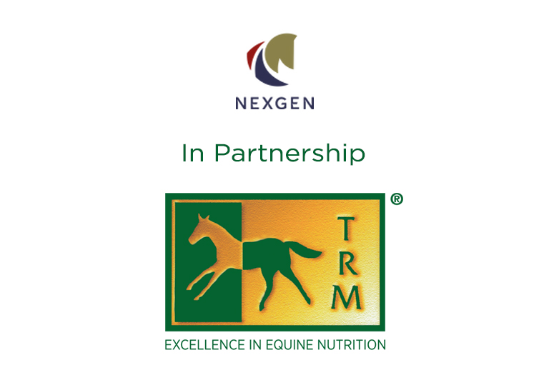 Read more about the article TRM support British Sport Horse Breeders & Producers by partnering with Nexgen Series