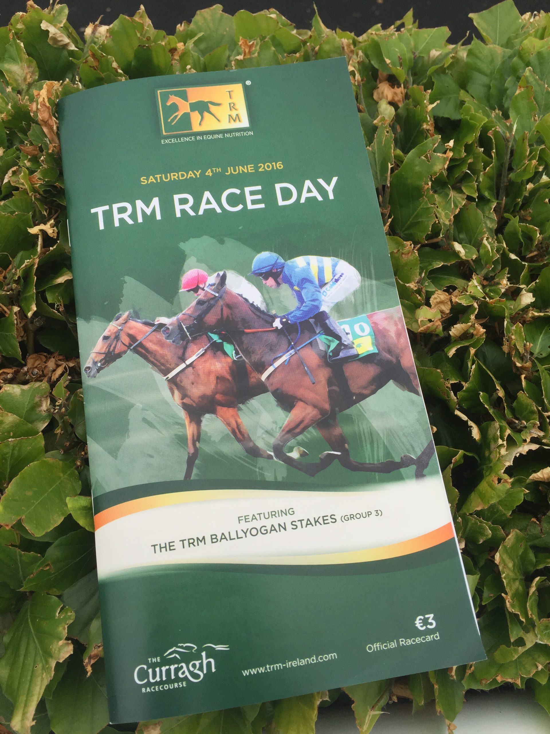 Read more about the article TRM sponsor full card at Curragh Racecourse Saturday 4th June