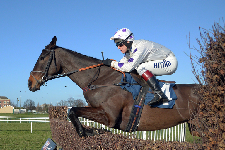 Read more about the article Royal Regetta wins the TRM Handicap Chase at Doncaster