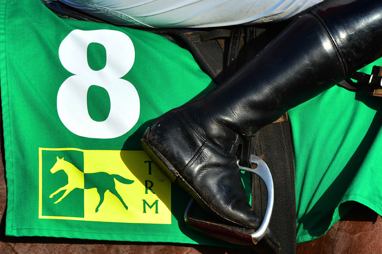 Read more about the article Vitamin B – Why it is needed by the performance horse