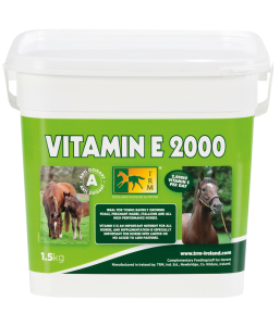 Vitamin E 2000