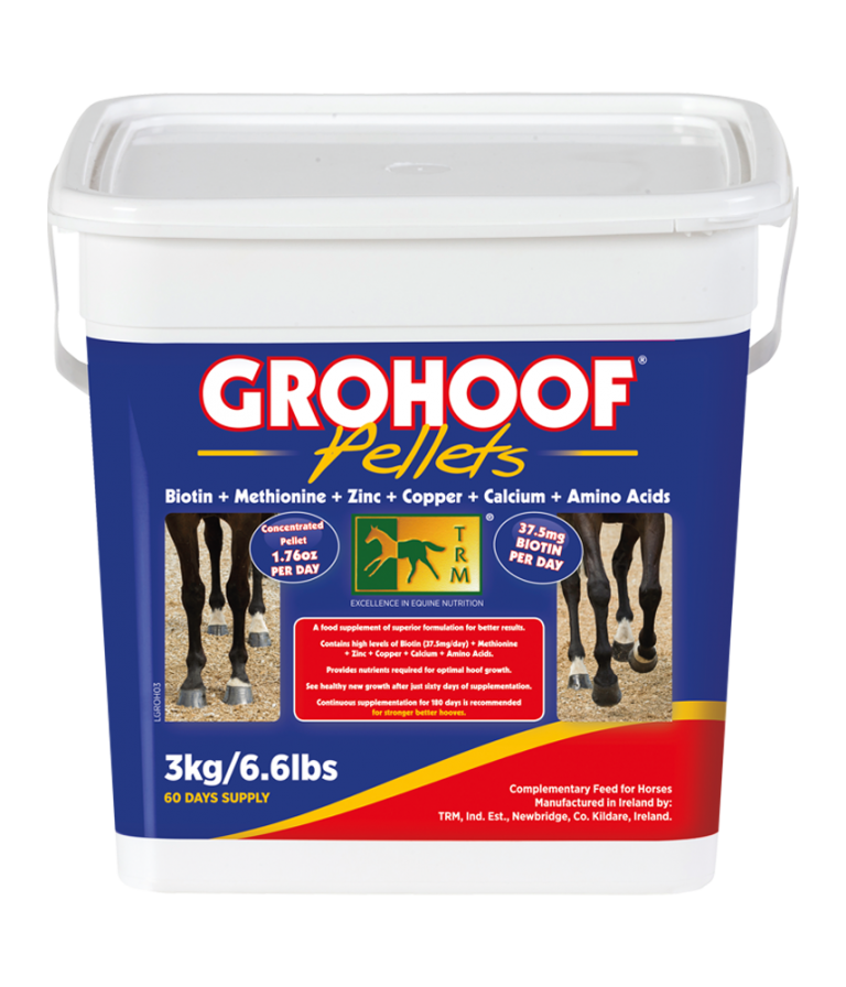 Hoof Care Products for Horses
