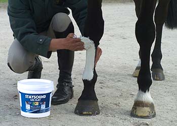 Read more about the article Study into the comparative efficiency of topical cooling agents in the equine limb