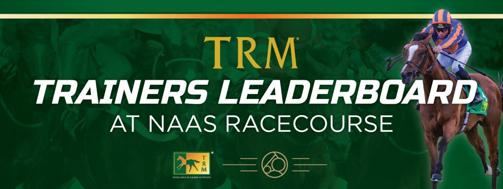 Trainers Leaderboard at Naas Racecourse