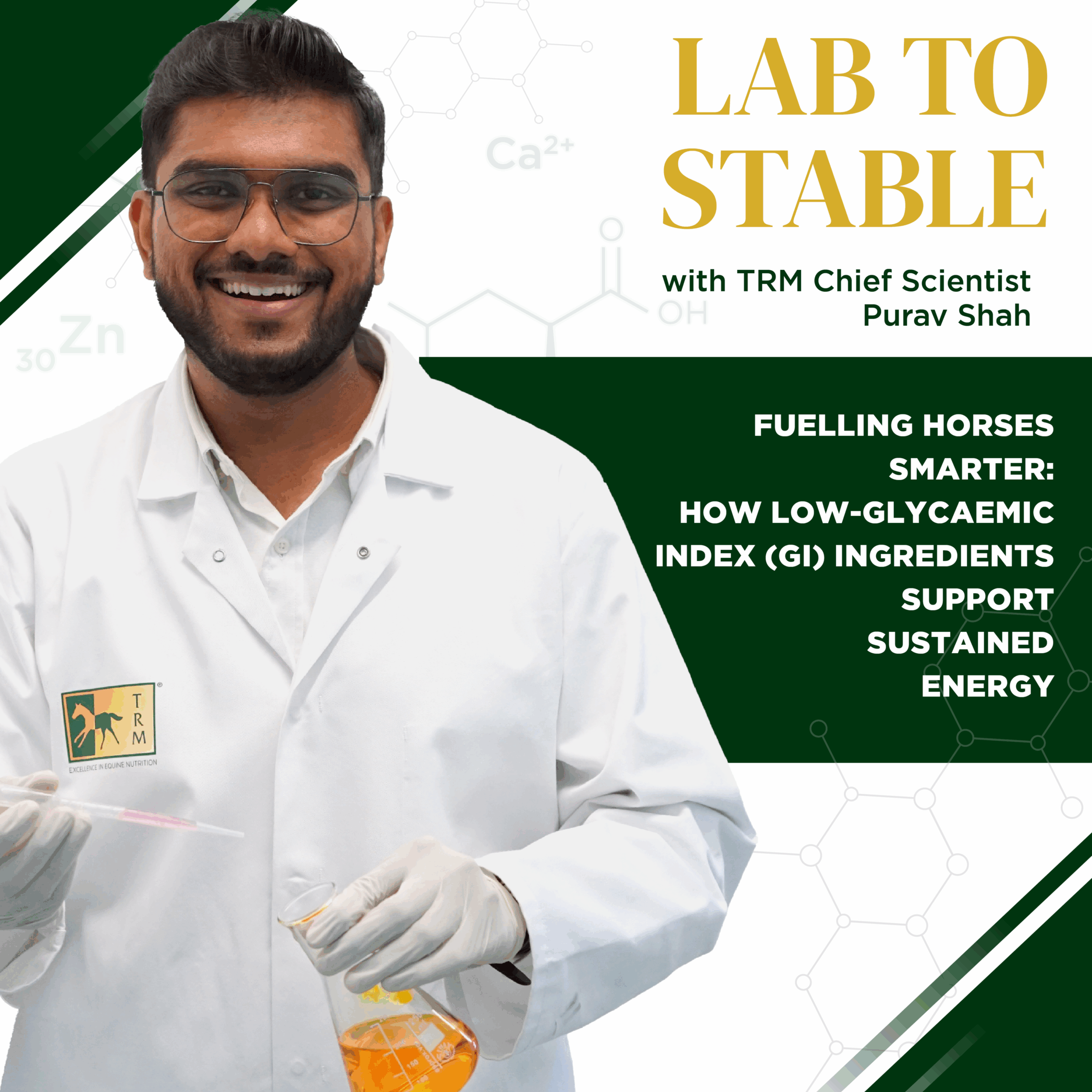 Read more about the article Fuelling Horses Smarter: How Low-Glycaemic Index (GI) Ingredients Support Sustained Energy