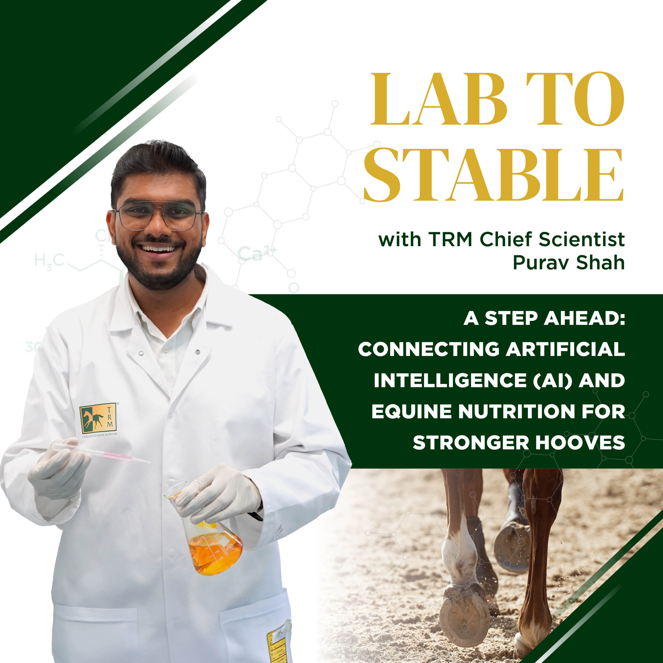 Read more about the article Lab To Stable Edition 4: A Step Ahead – Connecting Artificial Intelligence (AI) and Equine Nutrition for Stronger Hooves