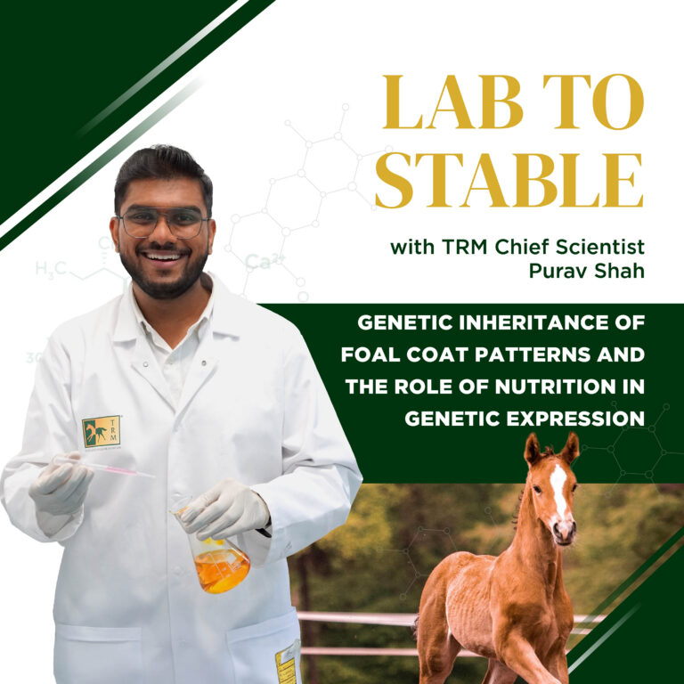Read more about the article Lab To Stable Edition 5: Genetic Inheritance of Foal Coat Patterns and the Role of Nutrition in Genetic Expression