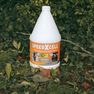 SpeedXcell-550x366-1