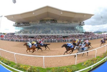 Dundalk Stadium